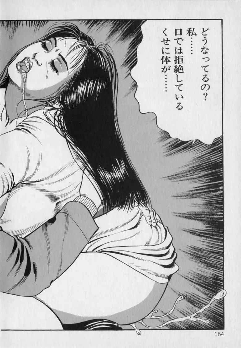 [Hachuu Rui] Innyuu Densetsu Fhentai - Page 166