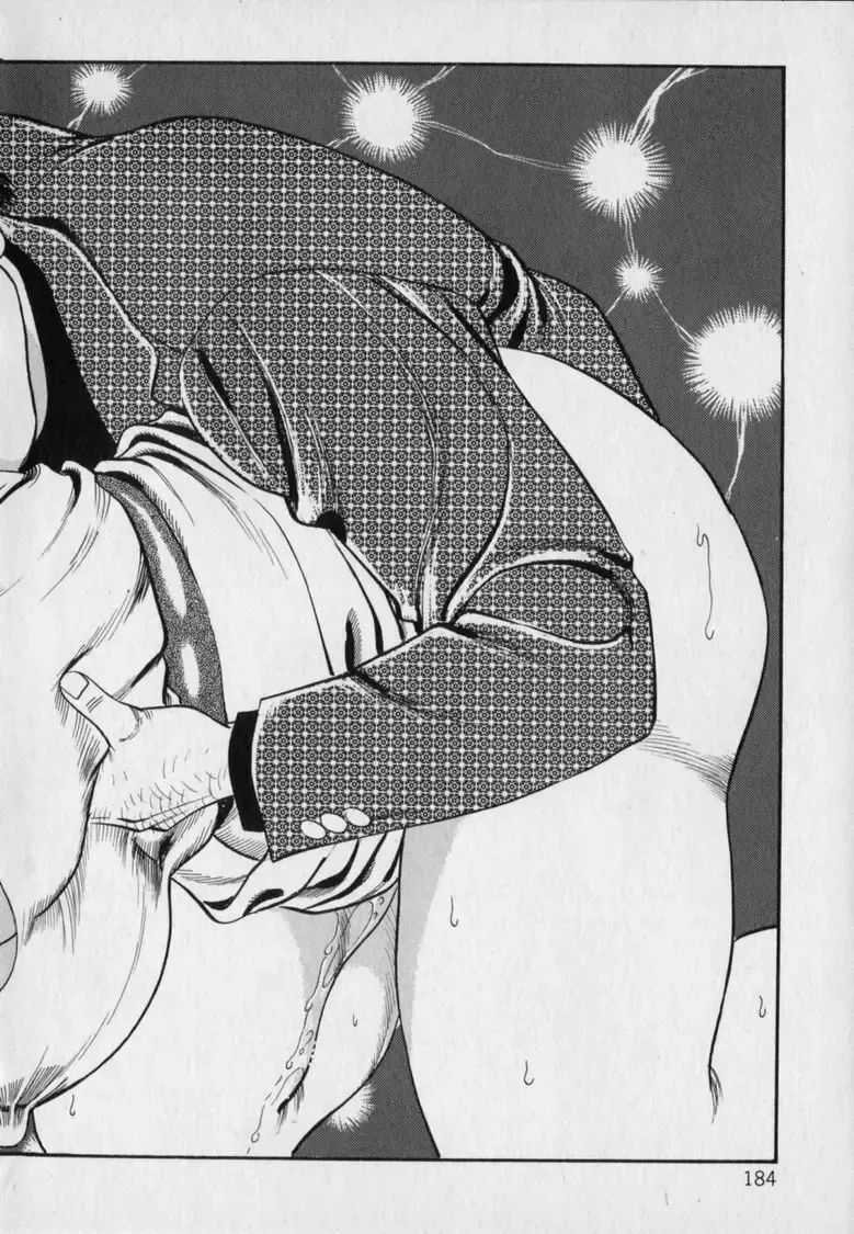 [Hachuu Rui] Innyuu Densetsu Fhentai - Page 186