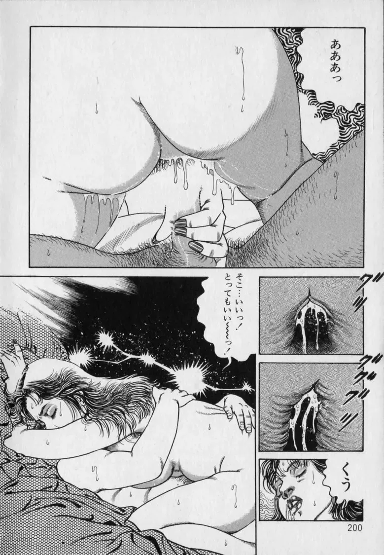 [Hachuu Rui] Innyuu Densetsu Fhentai - Page 202