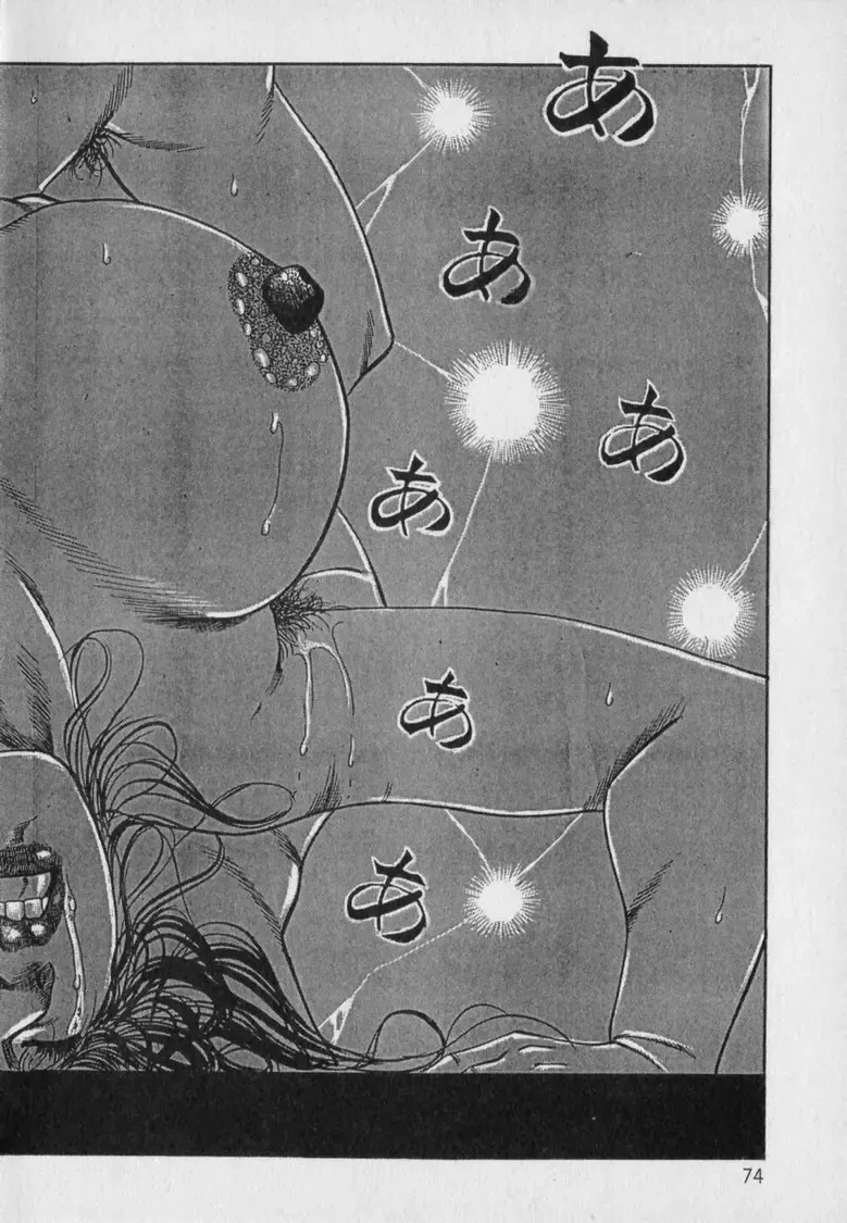 [Hachuu Rui] Innyuu Densetsu Fhentai - Page 76