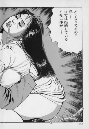 [Hachuu Rui] Innyuu Densetsu Fhentai - Page 166