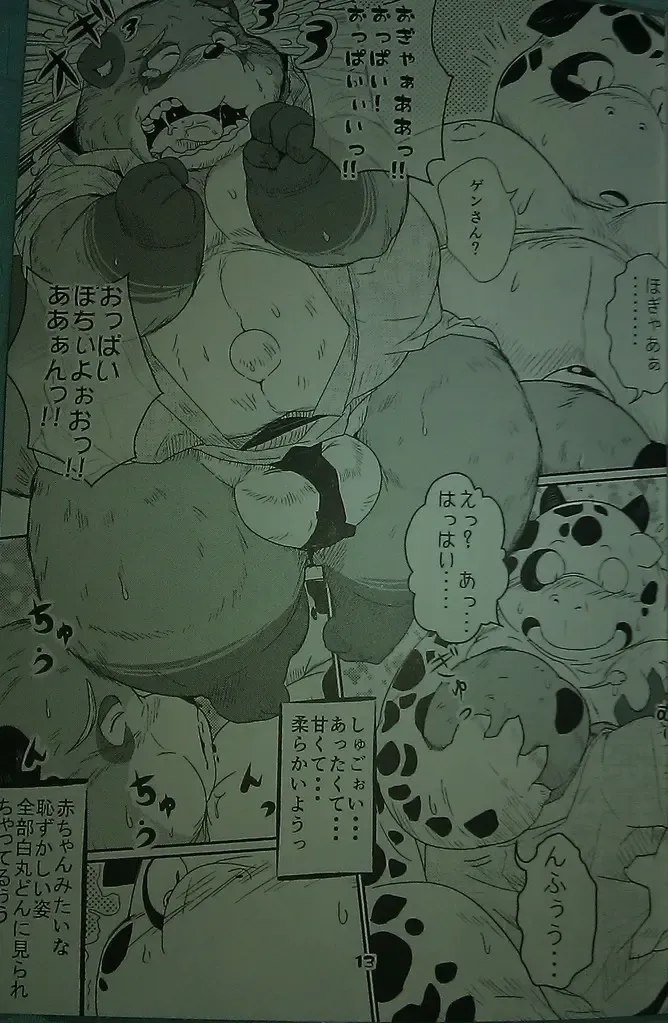 [Takotyu] Genkotsu Yama no Tanuki-San Fhentai - Page 12