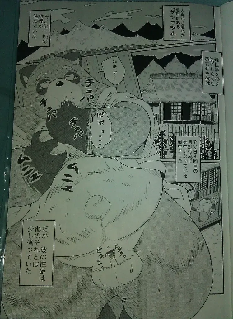 [Takotyu] Genkotsu Yama no Tanuki-San Fhentai - Page 2