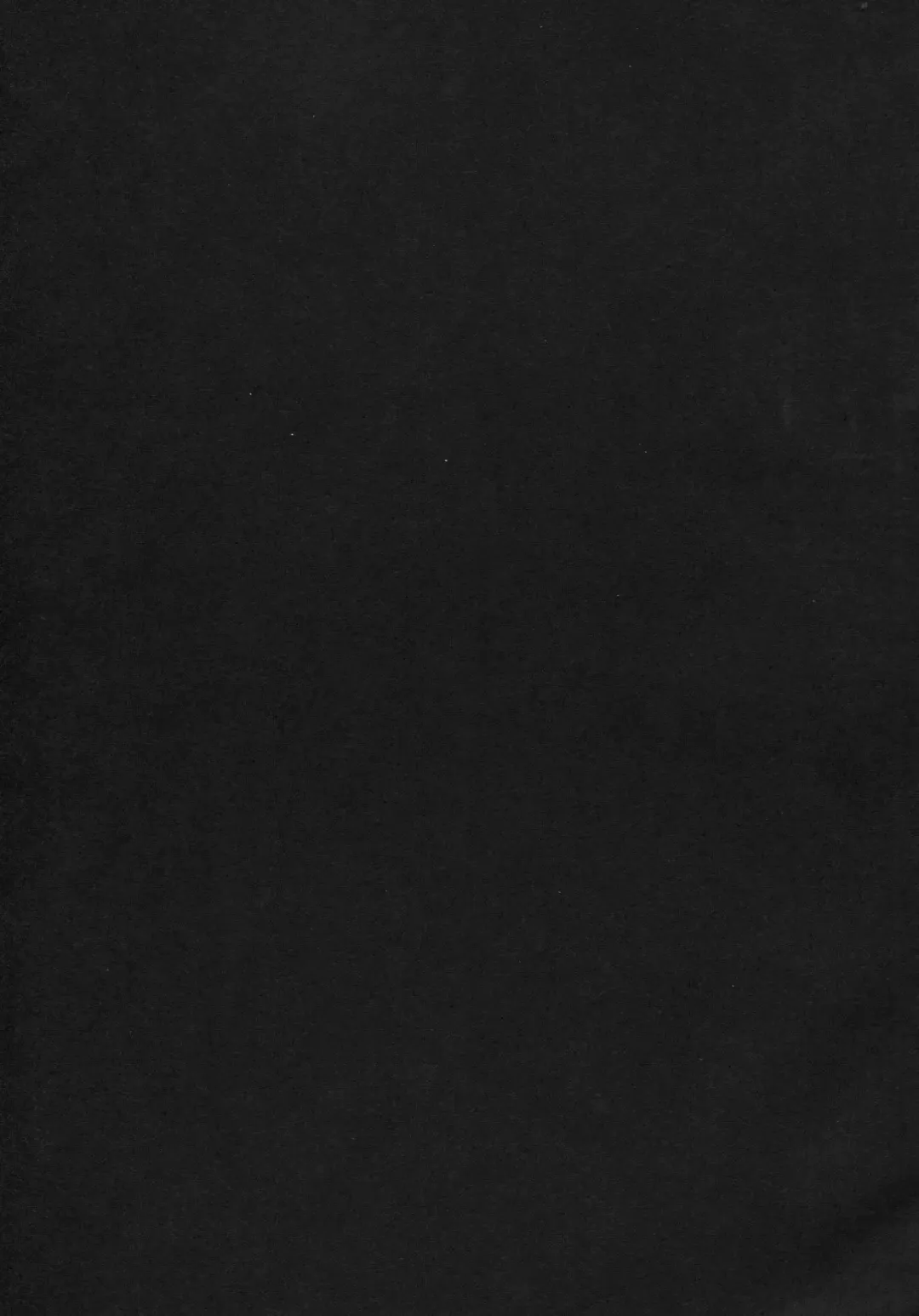 [Ahobaka] Aisuru Hinba ga Tanetsuke Sarete Fhentai - Page 35