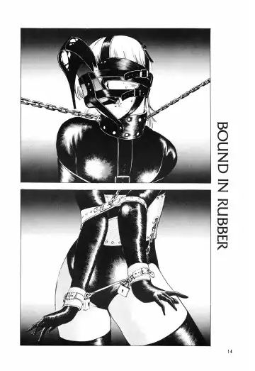 [Shingyouji Tatsuya] Hyoumen Chouryoku - Surface Tension volume one Fhentai - Page 14