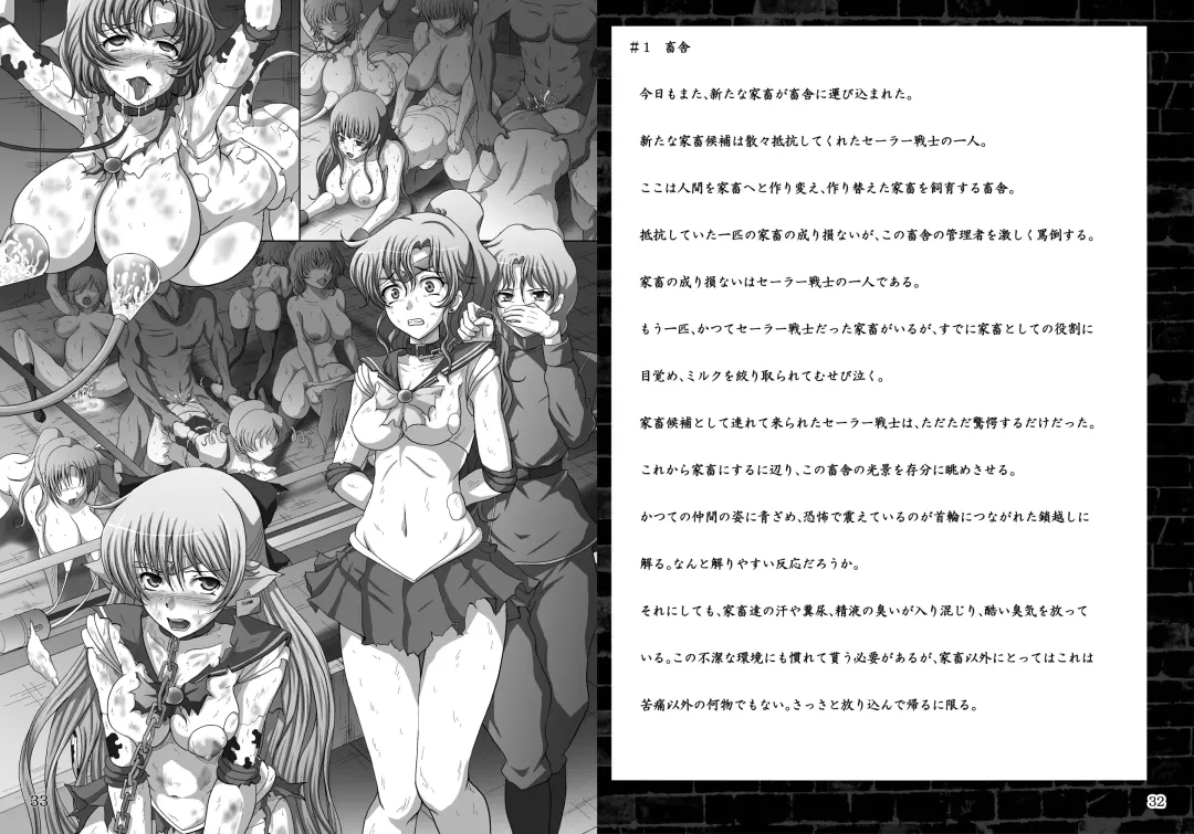 Daraku no Mokusei Fhentai - Page 17