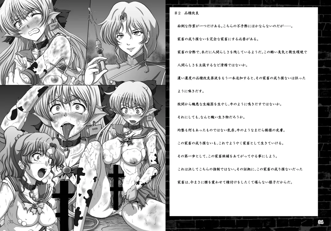 Daraku no Mokusei Fhentai - Page 18