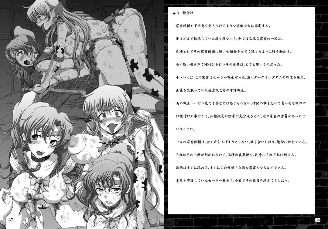 Daraku no Mokusei Fhentai - Page 19