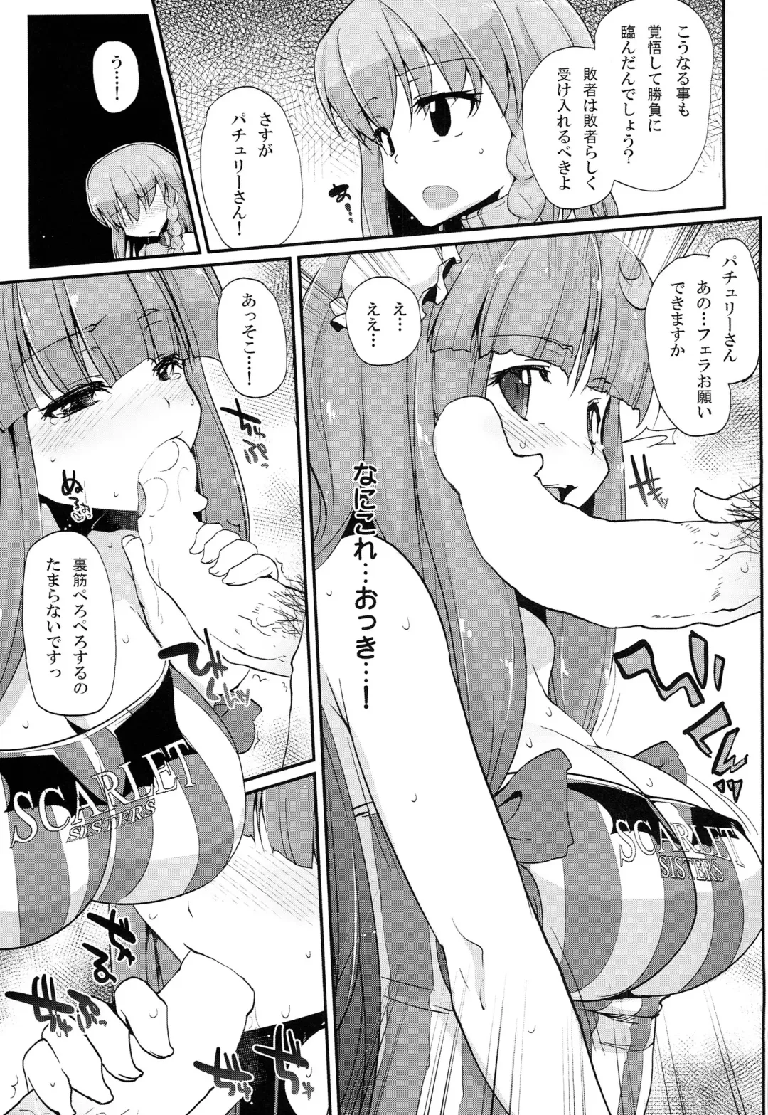 TOUHOU RACE QUEENS COLLABO CLUB -SCARLET SISTERS- Fhentai - Page 26