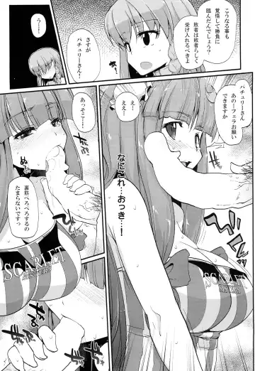 TOUHOU RACE QUEENS COLLABO CLUB -SCARLET SISTERS- Fhentai - Page 26