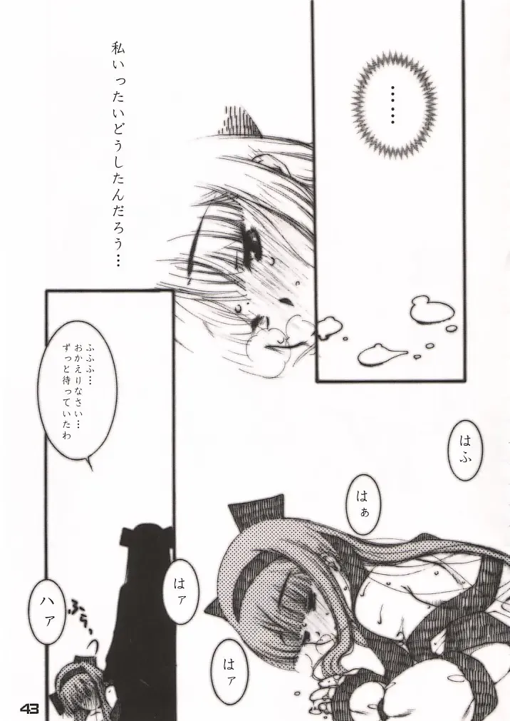 XXBOX -DOUBLE DAME BOX- Fhentai - Page 42