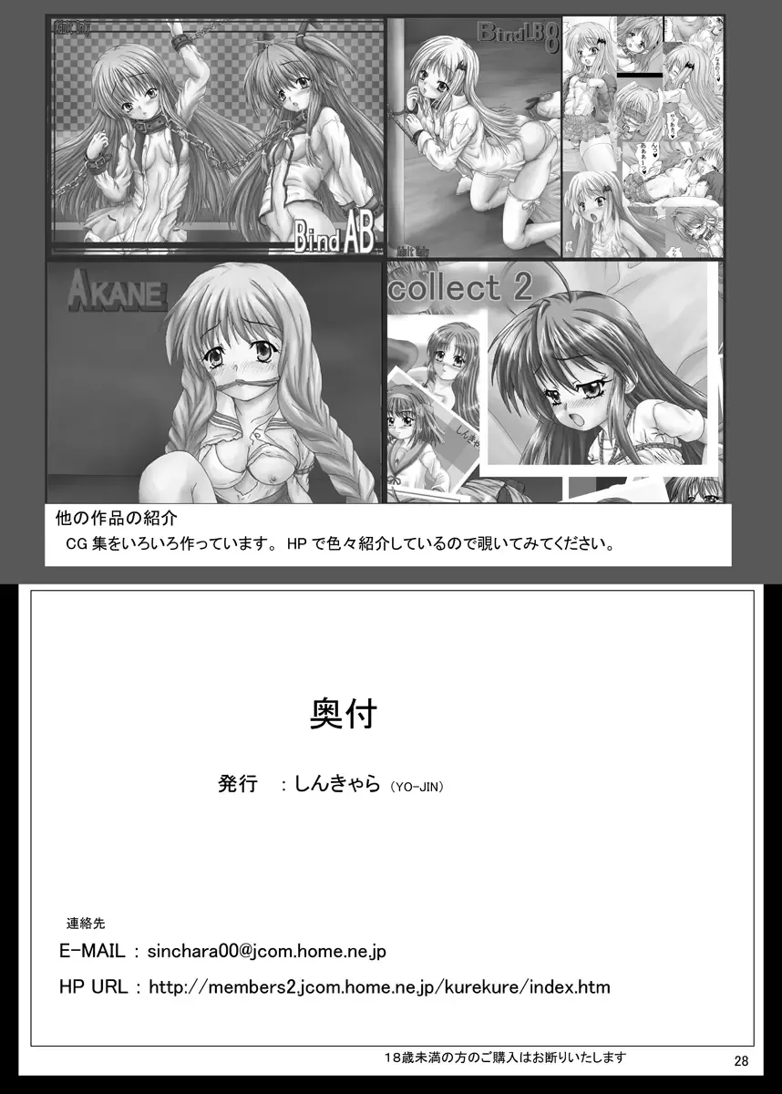 [Yo-jin] BindLB R2 Fhentai - Page 29