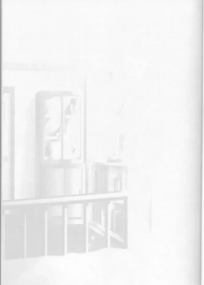 [Carnelian] Tsukirakuyou Fhentai - Page 14