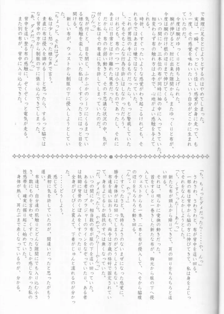 [Carnelian] Tsukirakuyou Fhentai - Page 28