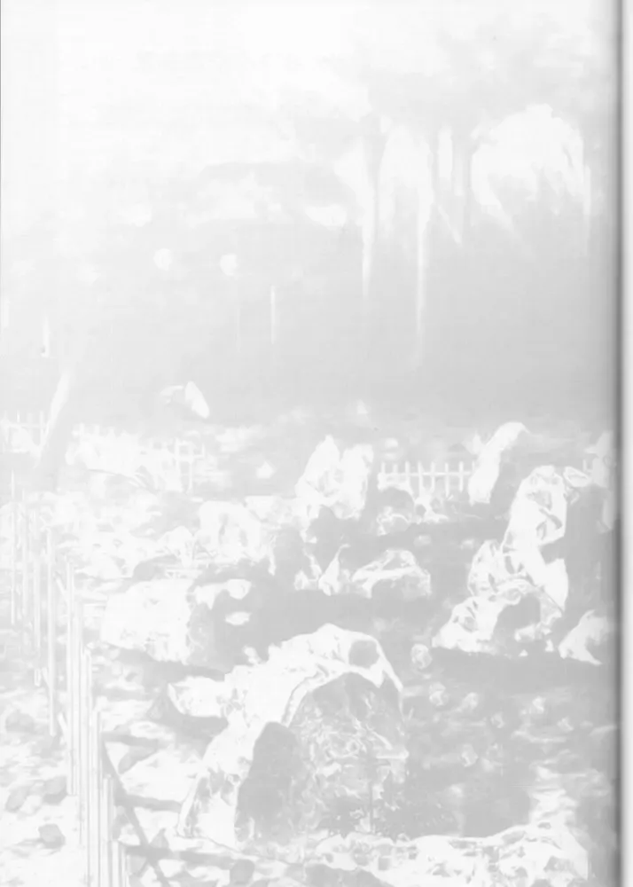 [Carnelian] Tsukirakuyou Fhentai - Page 38