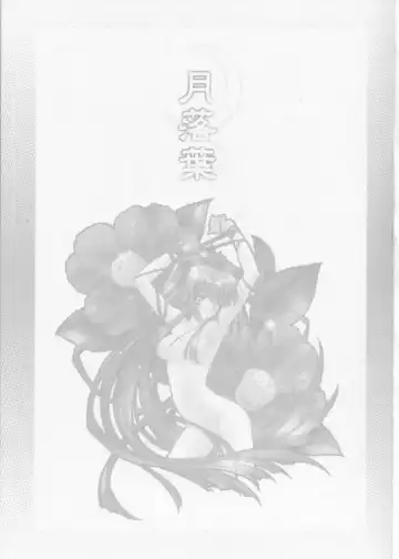 [Carnelian] Tsukirakuyou Fhentai - Page 2