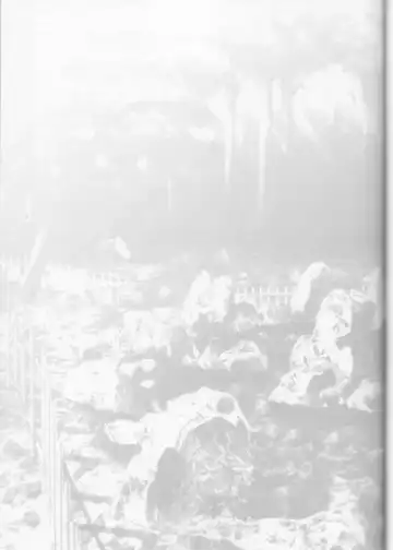 [Carnelian] Tsukirakuyou Fhentai - Page 38