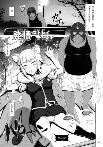 [A-teru Haito] Hatsujou Stray Cat Fhentai - Page 2