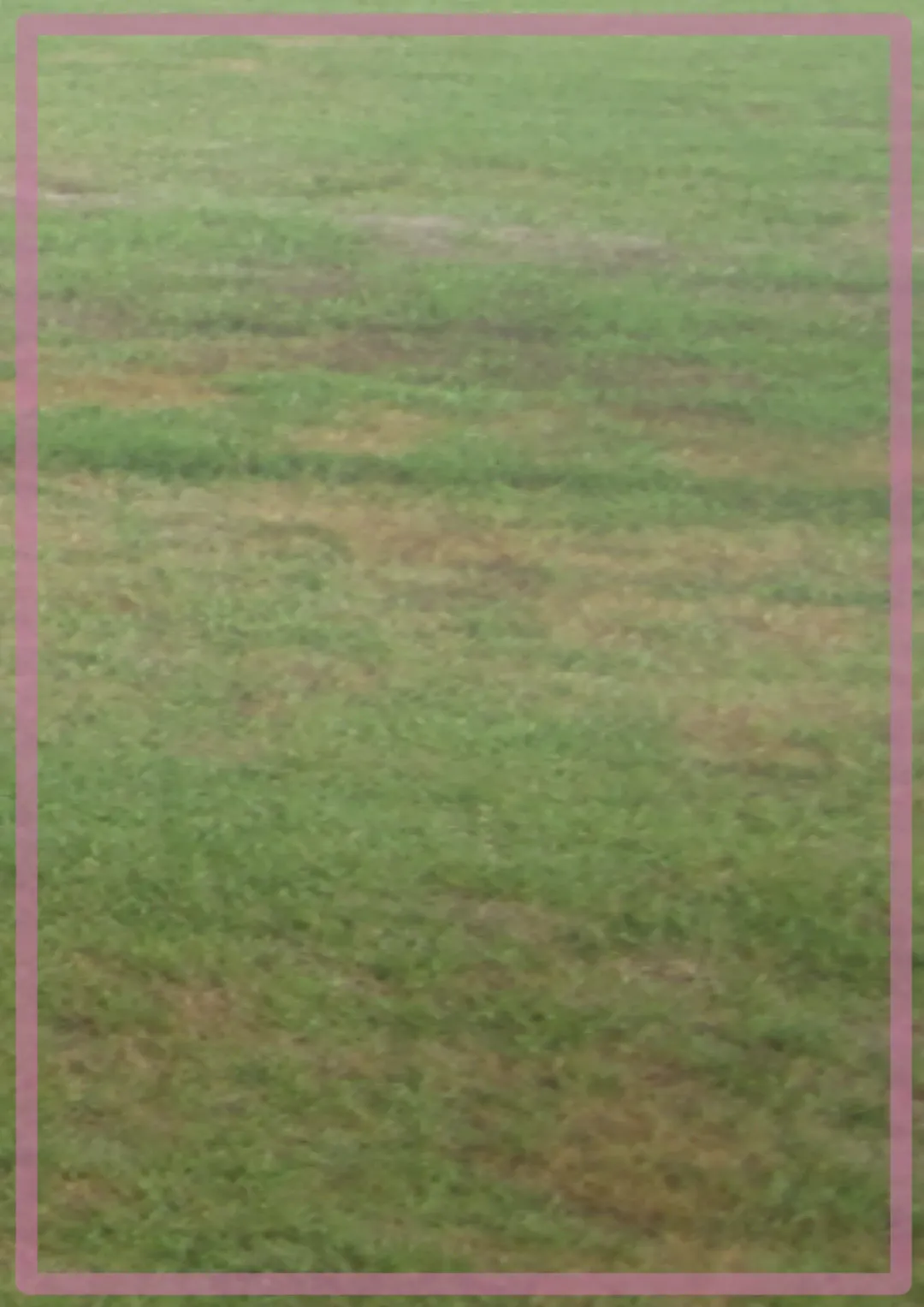 [Ogata Gou] Futa×Shota Fhentai - Page 17