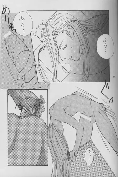 [Sakurai Shushushu] Sephiroth Kyouran Fhentai - Page 10