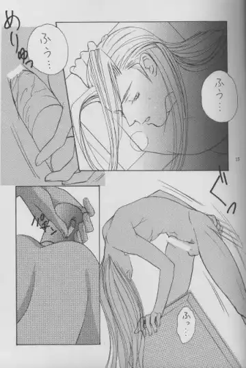 [Sakurai Shushushu] Sephiroth Kyouran Fhentai - Page 10