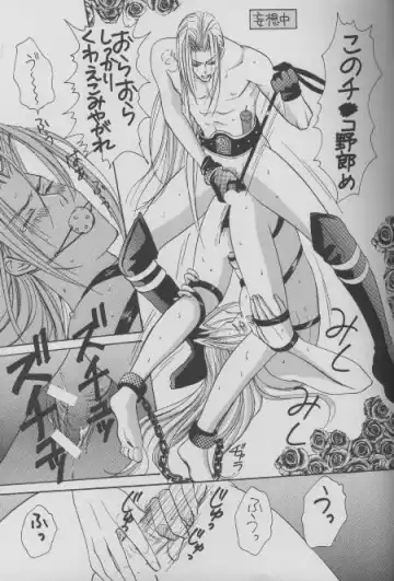 [Sakurai Shushushu] Sephiroth Kyouran Fhentai - Page 12