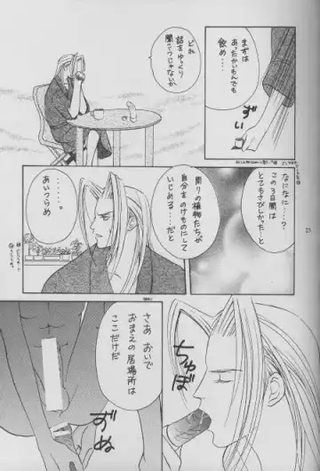[Sakurai Shushushu] Sephiroth Kyouran Fhentai - Page 18