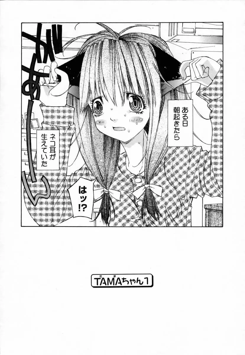 [Kojiki Ohji] Clover Fhentai - Page 133