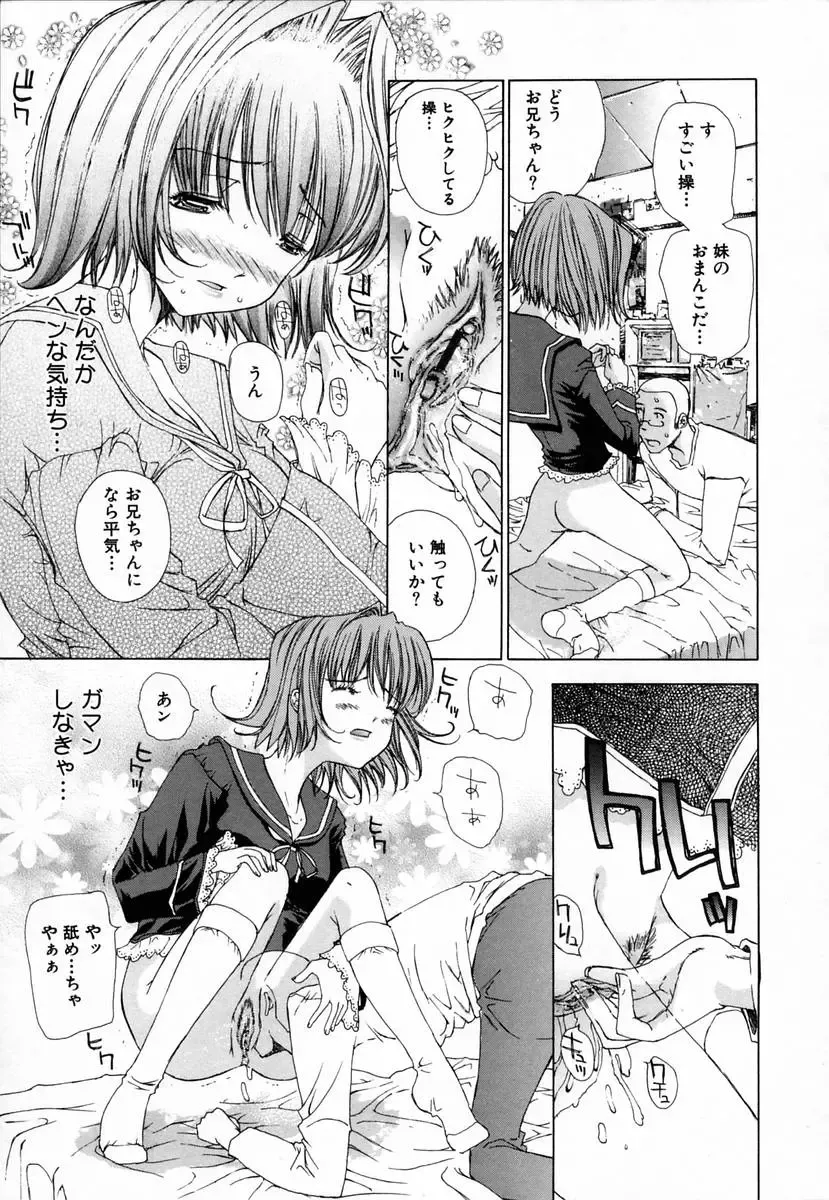 [Kojiki Ohji] Clover Fhentai - Page 177