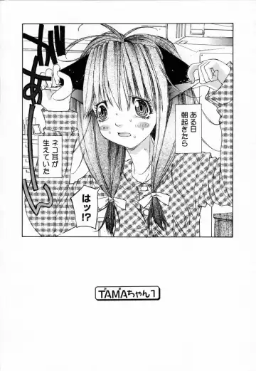 [Kojiki Ohji] Clover Fhentai - Page 133