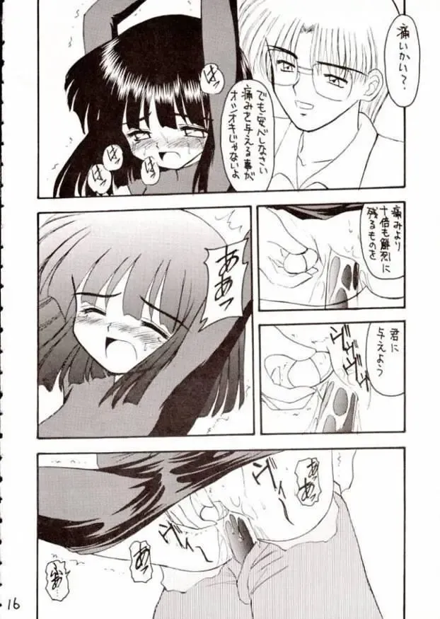 [Kittsu] Hotaru III Fhentai - Page 15