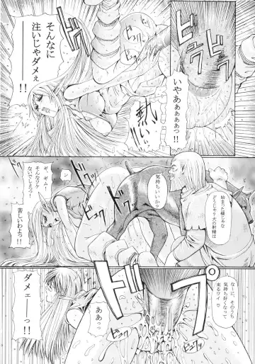 [Hiichan] Ken-Jyuu 3 Sonnet - La Danse de la Fee Fhentai - Page 24