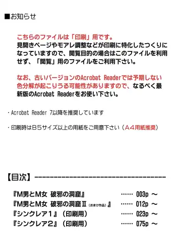 [Izumi - Reizei] Sinclair - Download Tokubetsuban Fhentai - Page 131