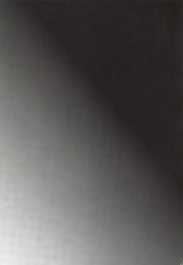 [Shimaji] Kyou wa Onsen Sex o Shimashita Fhentai - Page 29