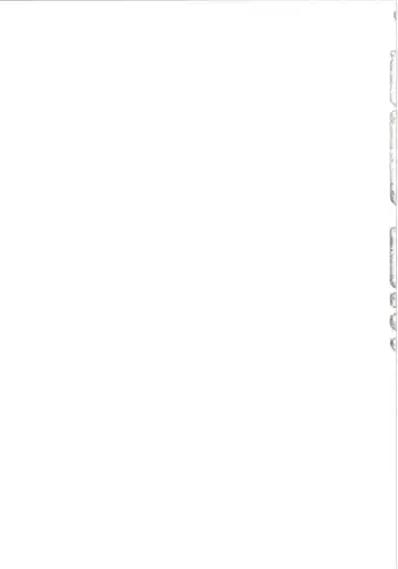 [Shimaji] Kyou wa Onsen Sex o Shimashita Fhentai - Page 31