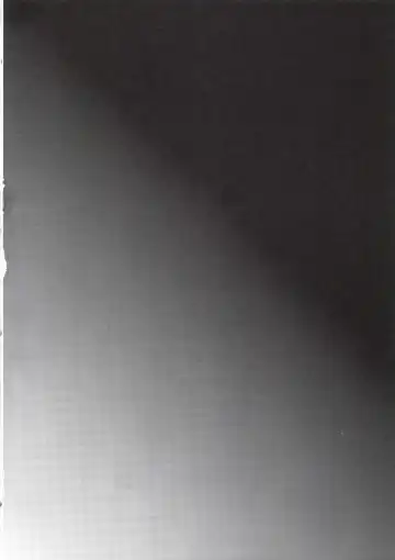 [Shimaji] Kyou wa Onsen Sex o Shimashita Fhentai - Page 4