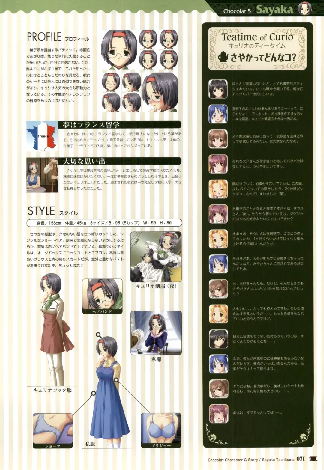 [Nekonyan] Chocolate & Parfait Visual Fanbook Fhentai - Page 71