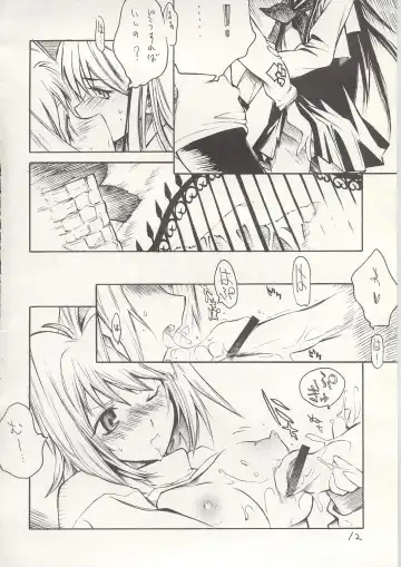 [Shinonome Tarou] Yorihime Fhentai - Page 11