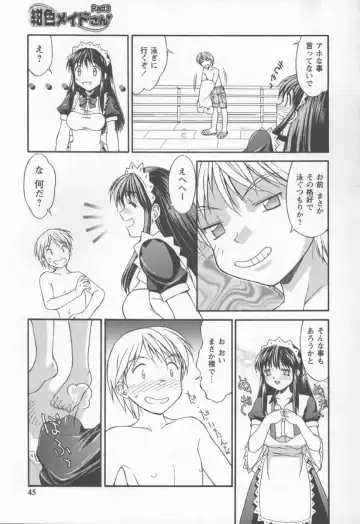 [Mizuyoukan] Koniro Maid-san Fhentai - Page 45