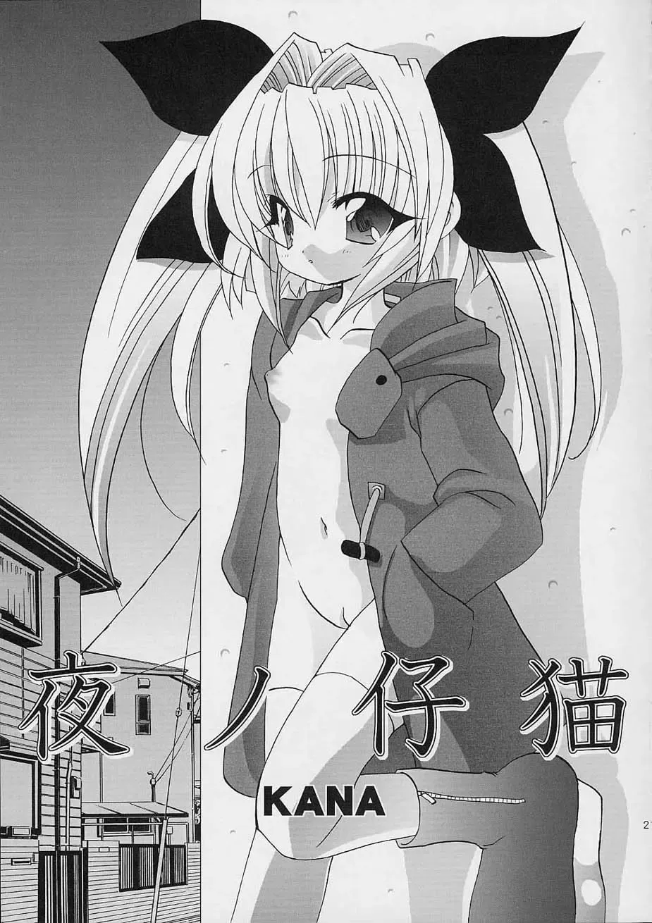 [Araki Akira - Araki Kanao] Fuyuyasumix Fhentai - Page 22