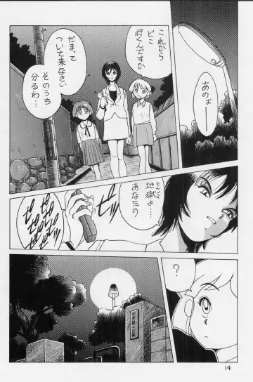 [Horimoto Akira] Dynamic Lolita Library NT 4.0 Fhentai - Page 13