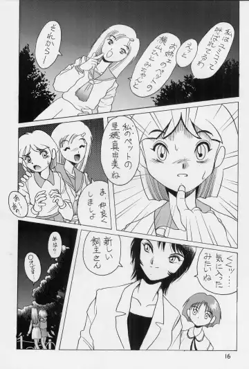 [Horimoto Akira] Dynamic Lolita Library NT 4.0 Fhentai - Page 15