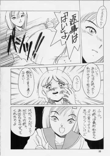 [Horimoto Akira] Dynamic Lolita Library NT 4.0 Fhentai - Page 17