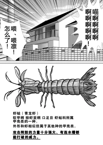 Chitsu Hakai-kei Joshi Fhentai - Page 17