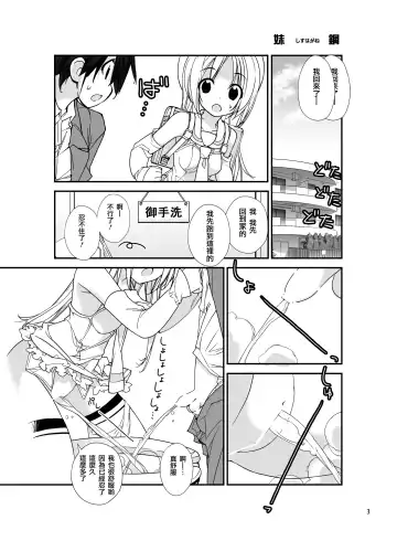 [Tamahagane] SisCon Fhentai - Page 3