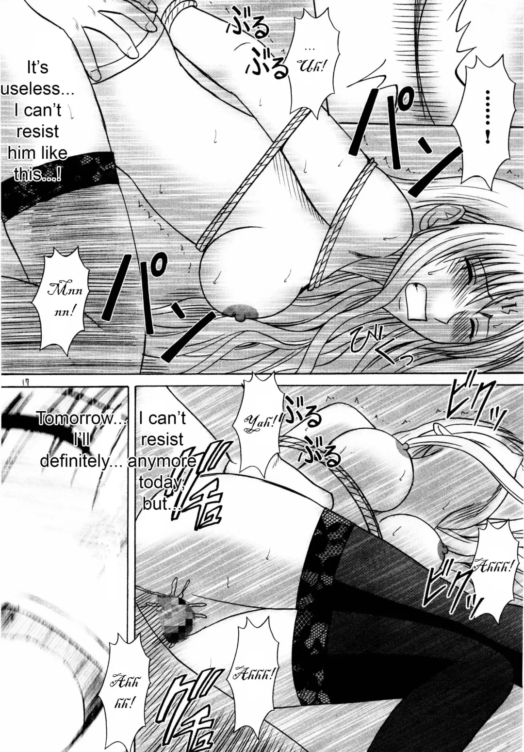 [Crimson] Sefiria Kiwami | Sephiria's Limit Fhentai - Page 17