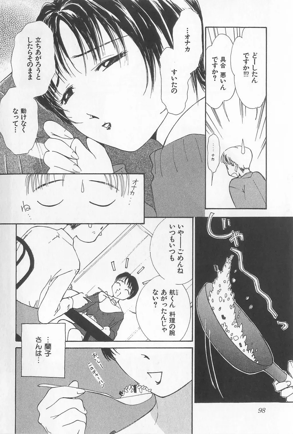 [Himuro Serika] Hitomi Fhentai - Page 100