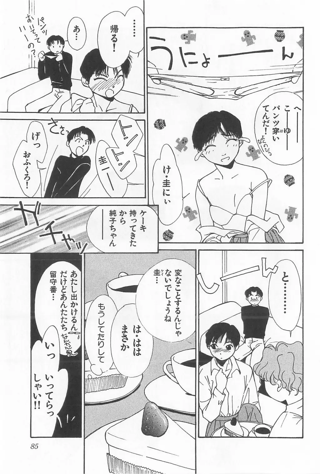 [Himuro Serika] Hitomi Fhentai - Page 87