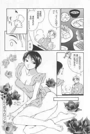 [Himuro Serika] Hitomi Fhentai - Page 114