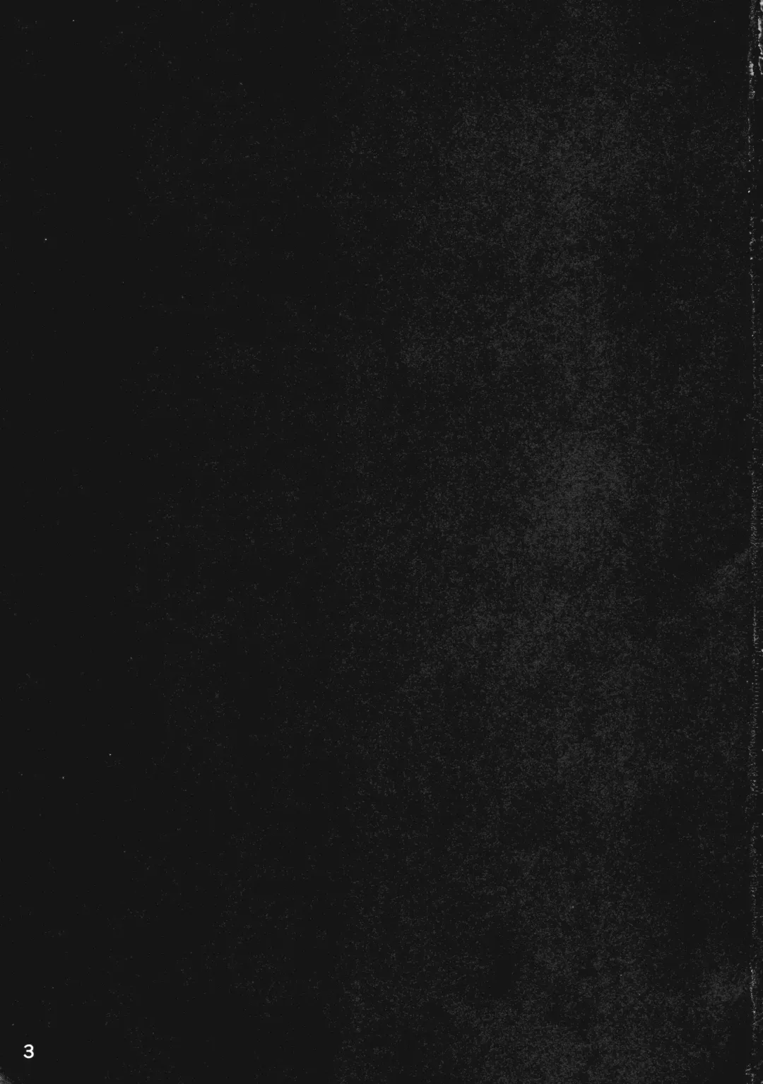 [Chirorian] Neko no Kimochi wa Futeikei Fhentai - Page 2